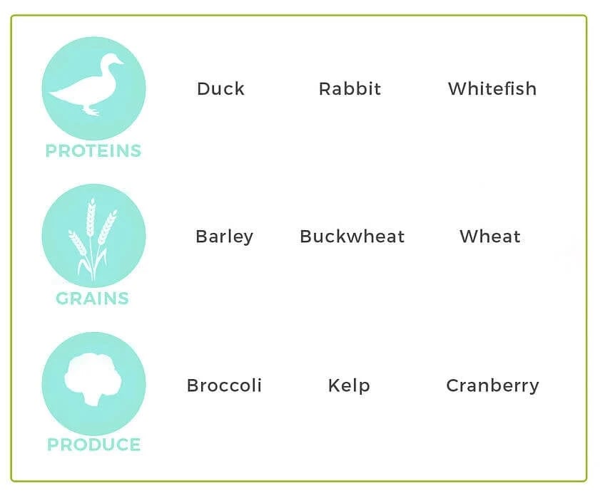 Neutral proteins 2025 for dogs